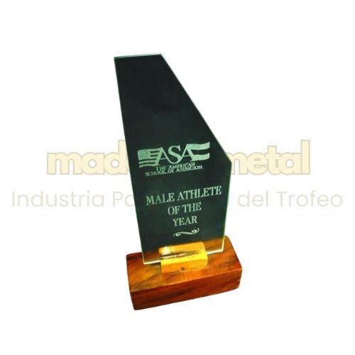 Imagen de Trofeo en vidrio personalizado - M20.600